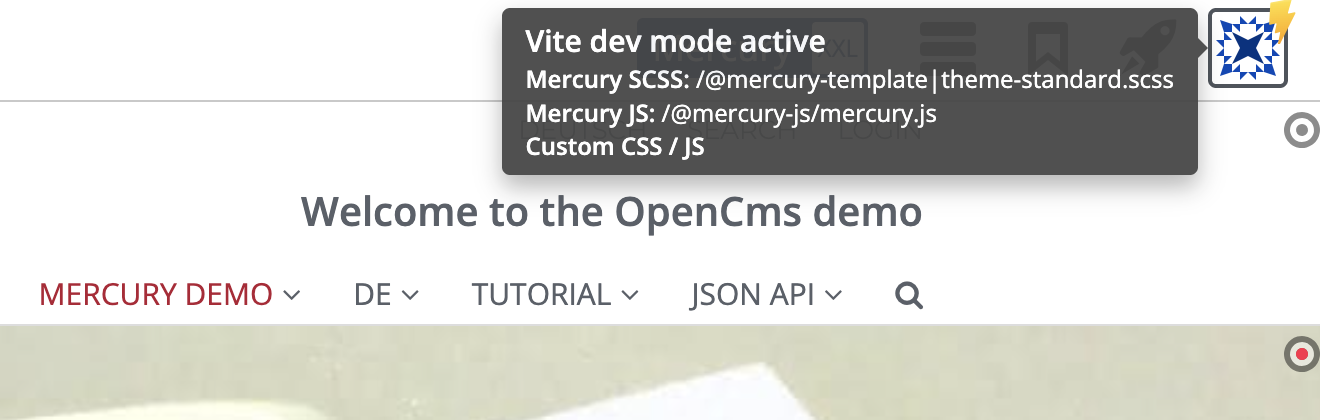 Vite development mode overlay with JS and CSS